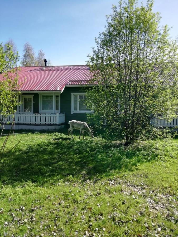Ounasvaara Sport Cottages Rovaniemi Zewnętrze zdjęcie